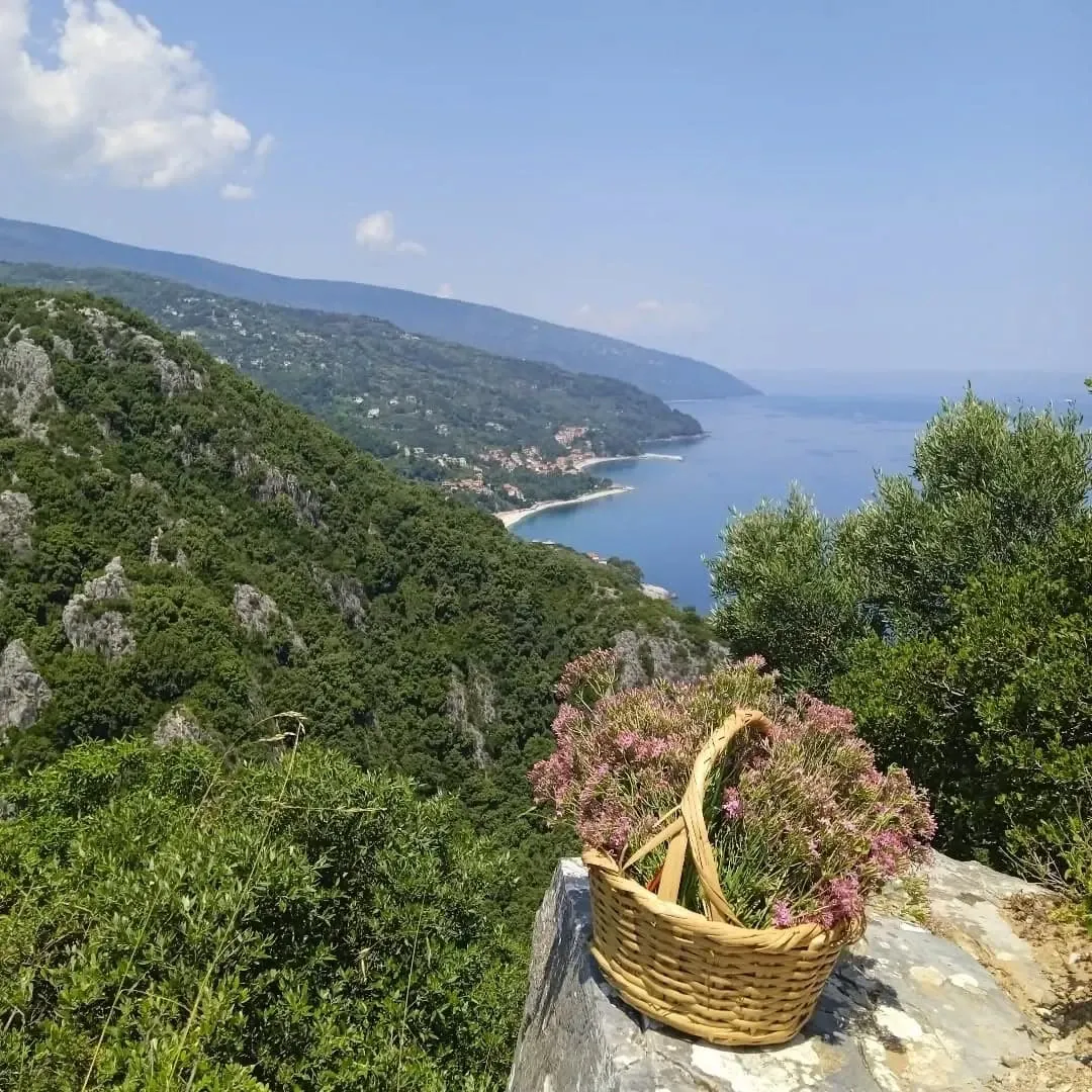 Καλάθι με αγριολούλουδα και θέα στη θάλασσα