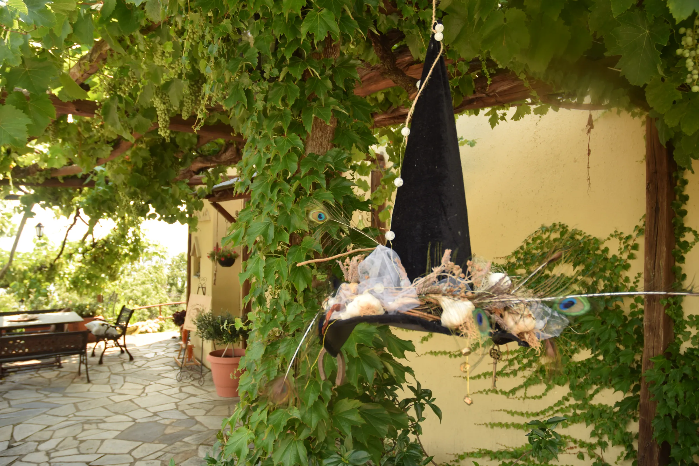Το καπέλο της Μάγισσας κάτω από την κληματαριά